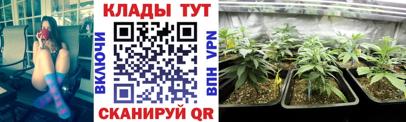 Купить закладку А ПВП МЕФ ГАШИШ Канабис КОКАИН Любань
