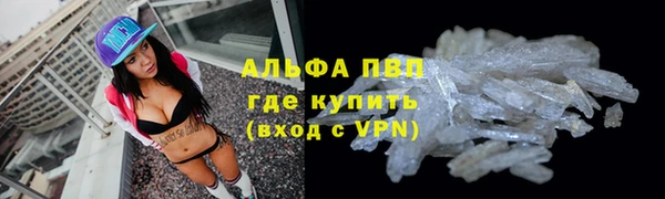 ПСИЛОЦИБИНОВЫЕ ГРИБЫ Медвежьегорск