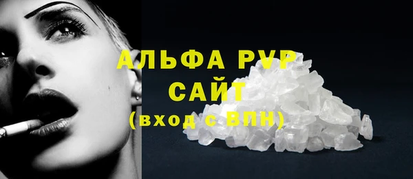 ПСИЛОЦИБИНОВЫЕ ГРИБЫ Медвежьегорск