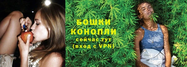 ПСИЛОЦИБИНОВЫЕ ГРИБЫ Медвежьегорск