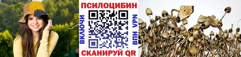 Купить закладки Любань Псилоцибиновые грибы мицелий